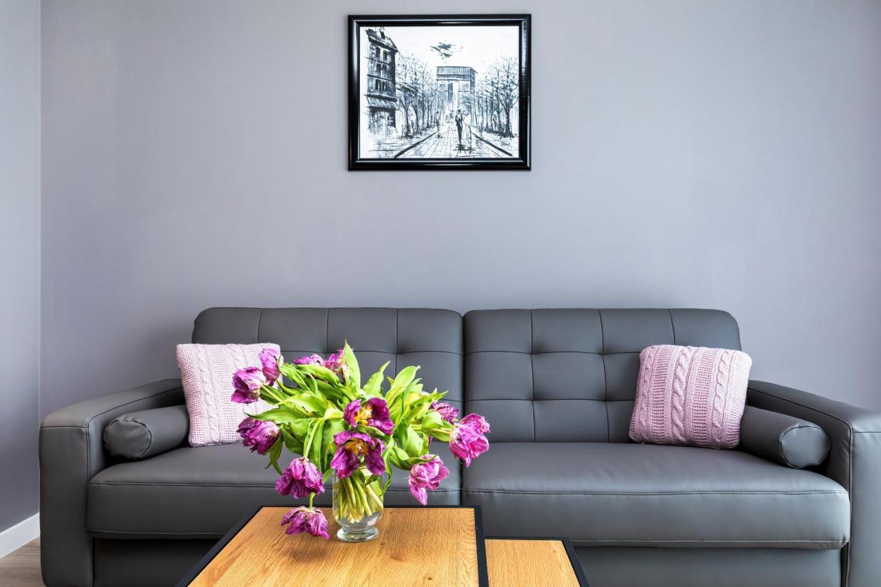 Modern Center By Renters